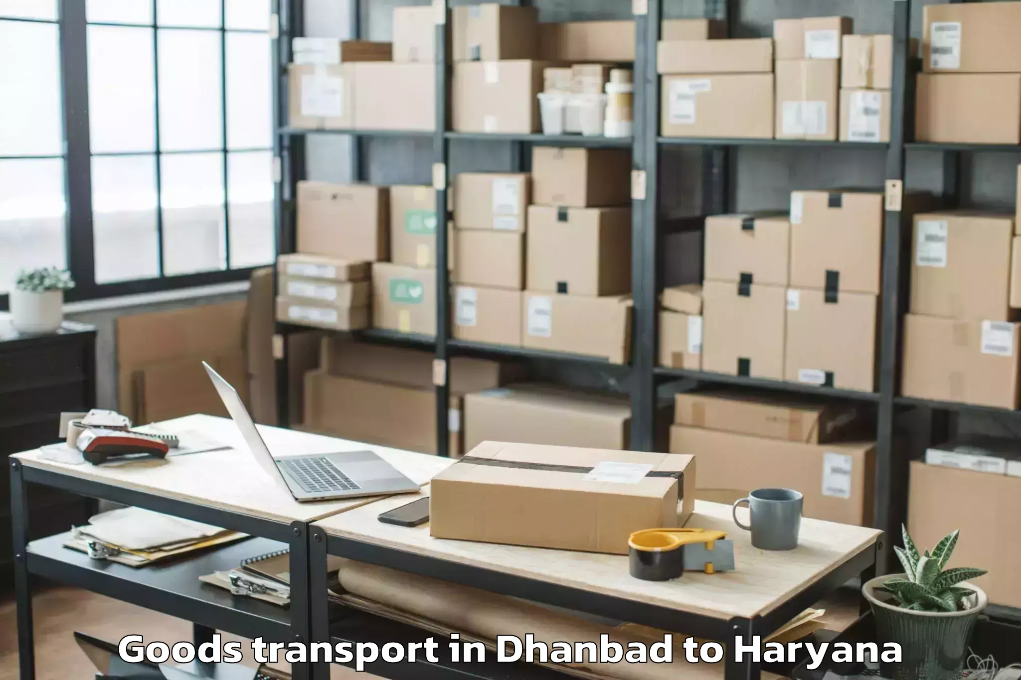 Professional Dhanbad to Pristine Mall Faridabad Goods Transport